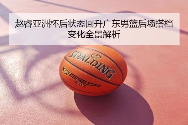 赵睿亚洲杯后状态回升广东男篮后场搭档变化全景解析